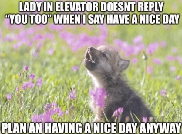 The best wholesome memes of the week - #12 