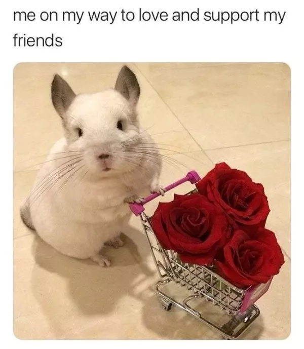Votre dose hebdomadaire de memes positifs - #15 