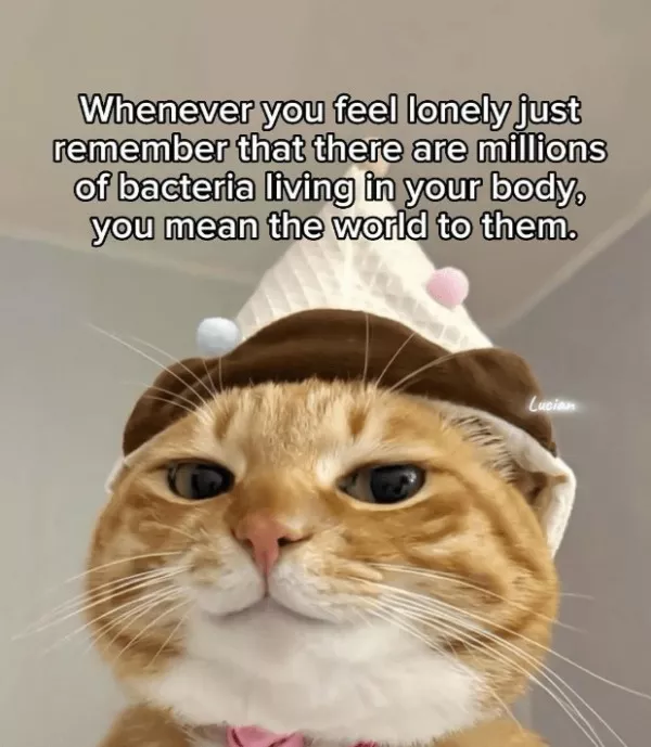 Votre dose hebdomadaire de memes positifs - #2 