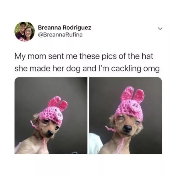 The best wholesome memes of the week - #22 