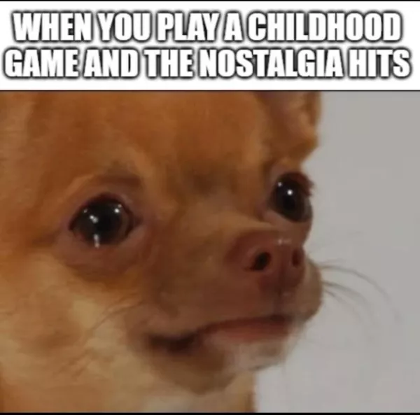 The best wholesome memes of the week - #27 
