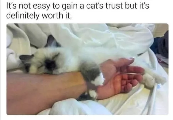 Votre dose hebdomadaire de memes positifs - #28 