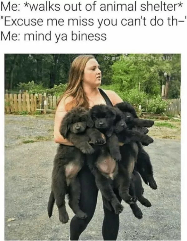 Votre dose hebdomadaire de memes positifs - #3 