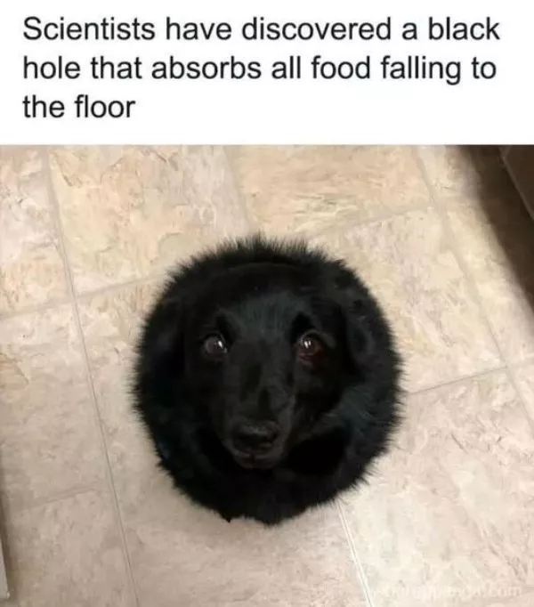 The best wholesome memes of the week - #34 