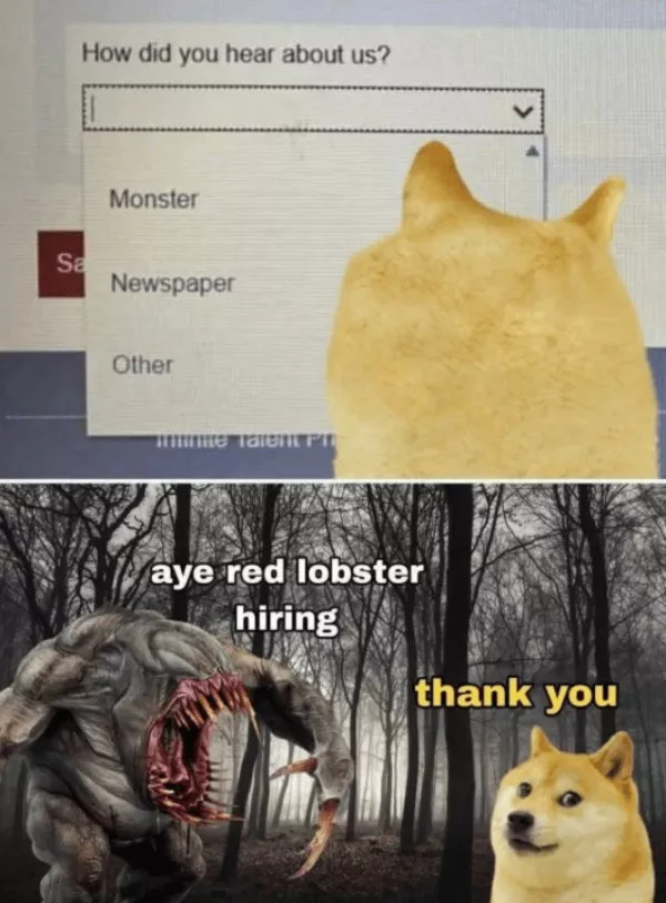 Votre dose hebdomadaire de memes positifs - #7 