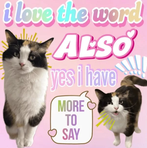 The best wholesome memes of the week - #9 