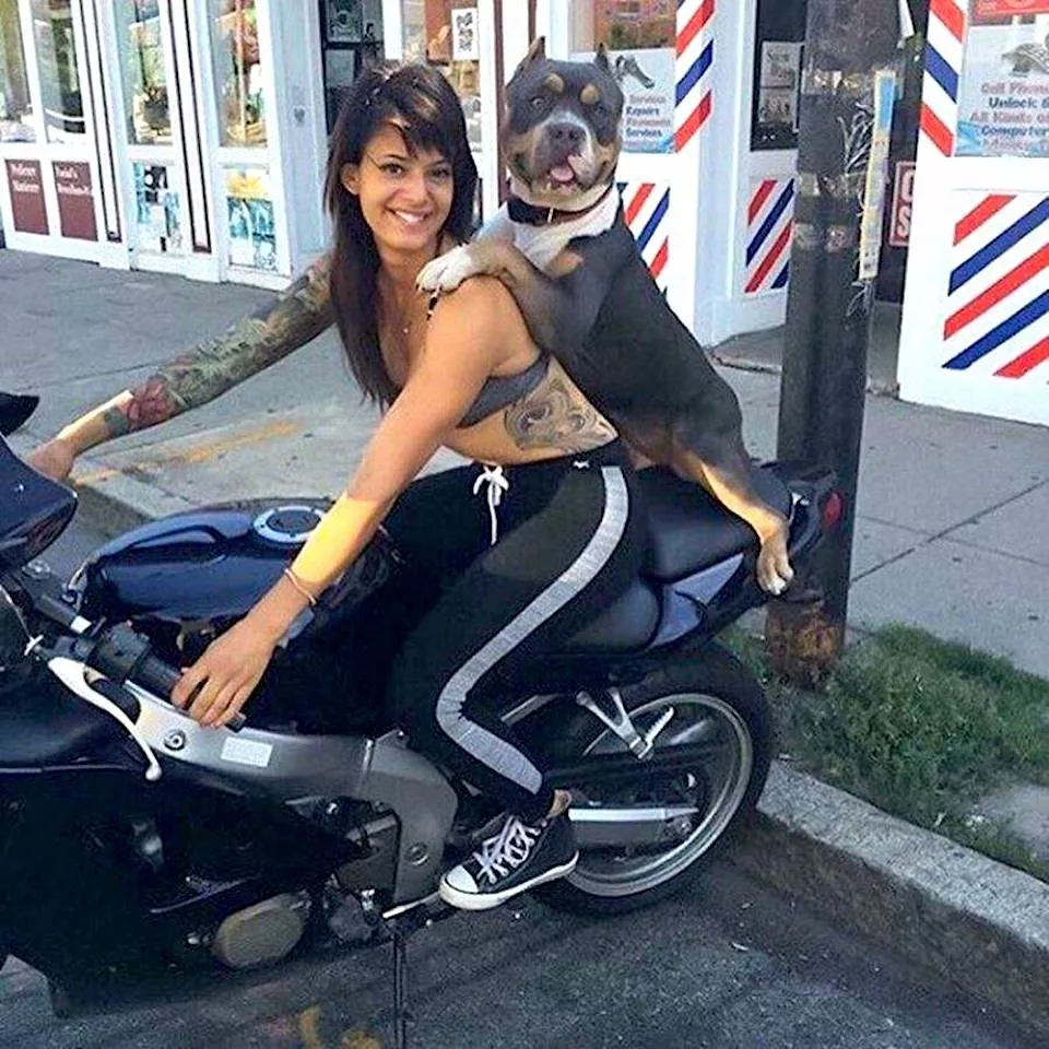 Dogs are endless entertainment - #16 