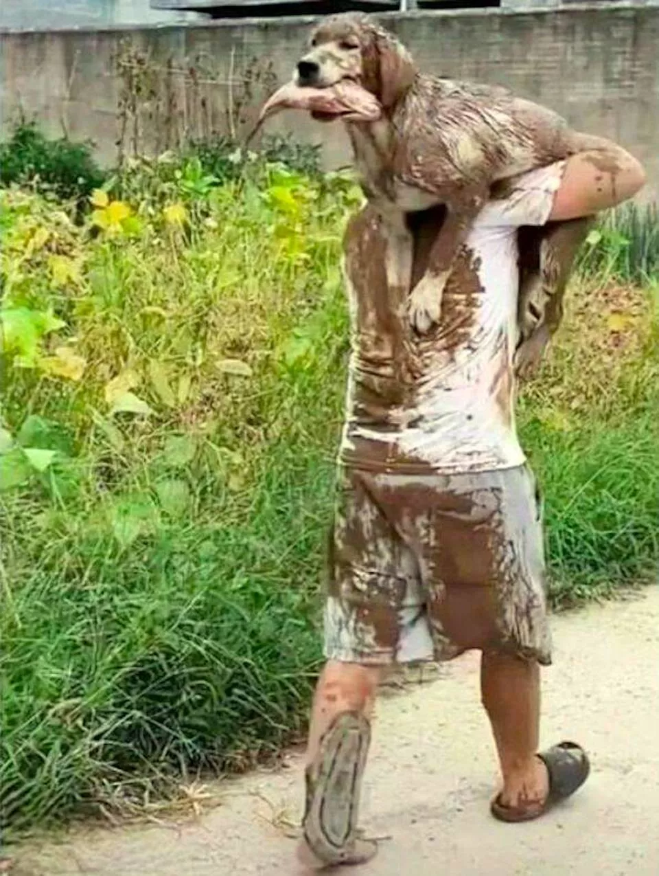 Dogs are endless entertainment - #19 