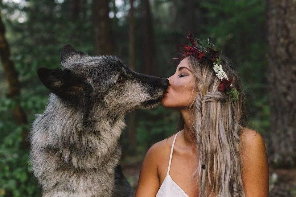 Dogs are endless entertainment - #20 