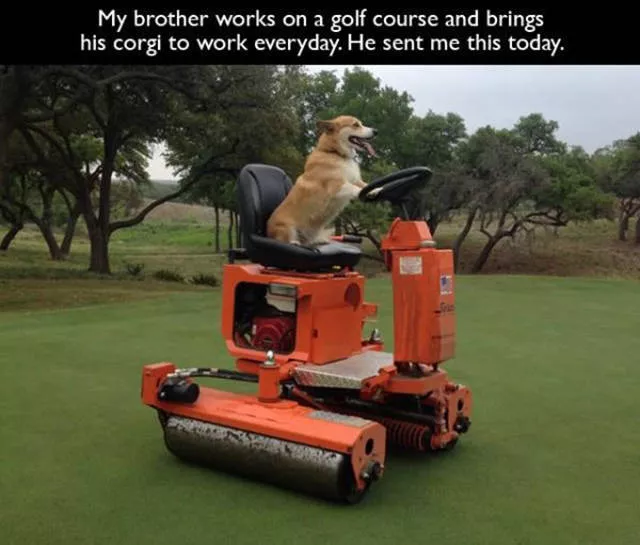 Crazy work moments - #15 
