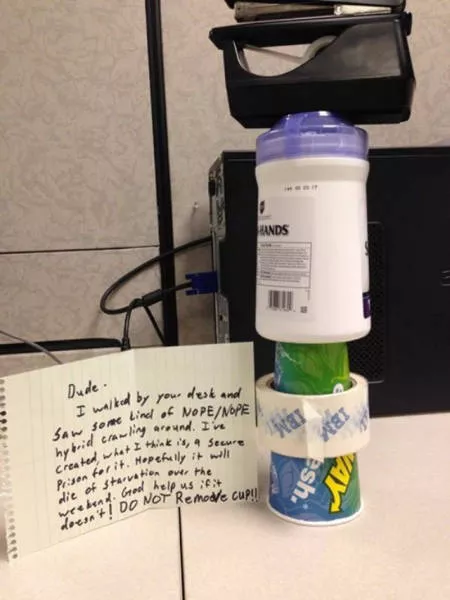 Crazy work moments - #18 