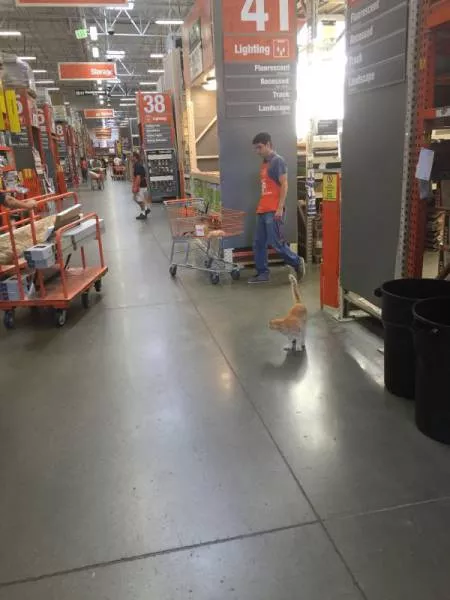 Crazy work moments - #36 