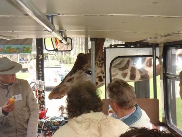 Picdump 1091 - #25 Picdump 1091 - #25