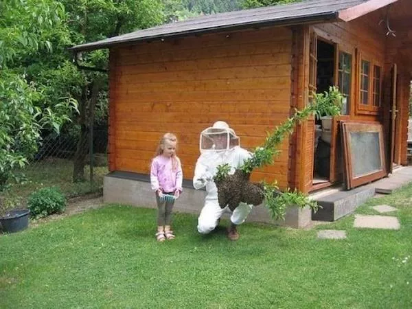 Picdump 1092 - #29 Picdump 1092 - #29