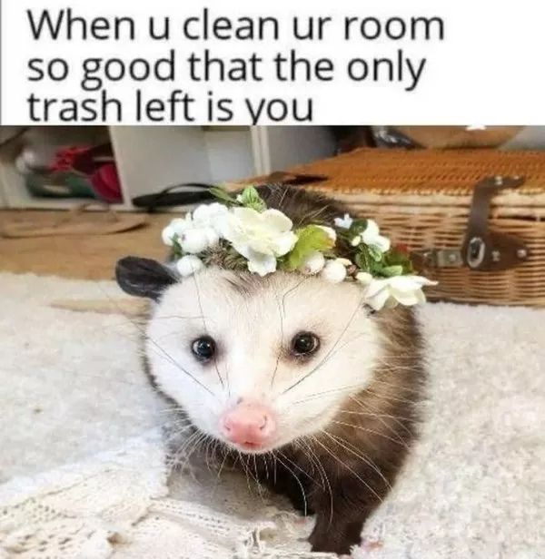 The you laugh you lose challenge wins - #10 