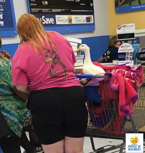 Have you seen them at the supermarket - #37 
