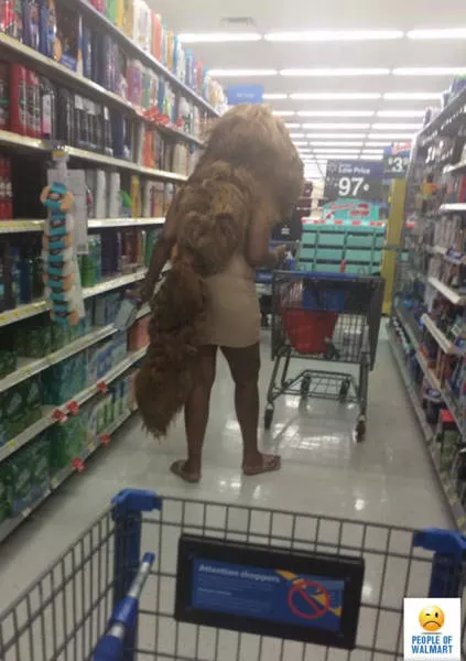 Have you seen them at the supermarket - #7 