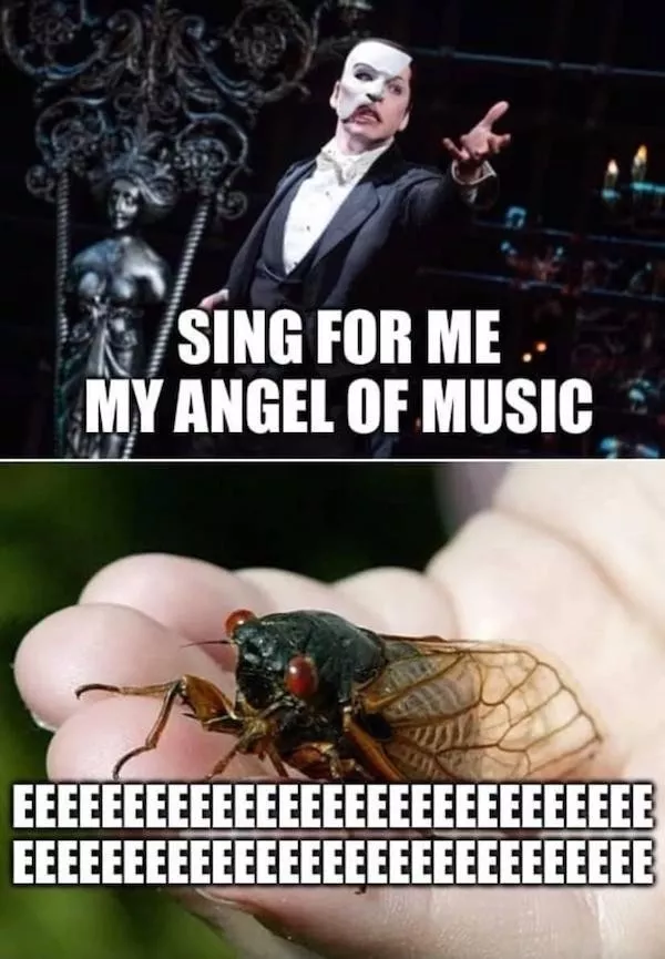 Weekend vibes and beer memes - #17 