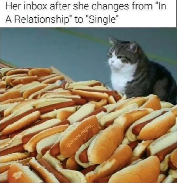 Weekend vibes and beer memes - #19 