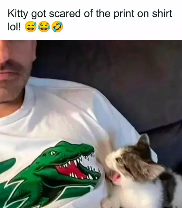 Dont start saturday without cats - #10 