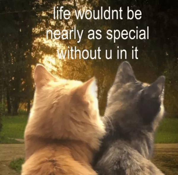 Dont start saturday without cats - #15 