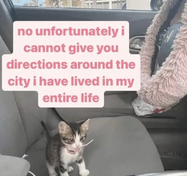 Dont start saturday without cats - #16 