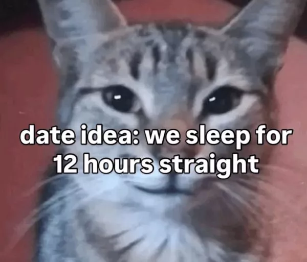 Dont start saturday without cats - #21 Dont start saturday without cats - #21