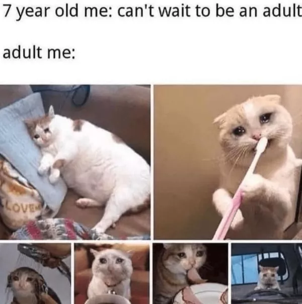 Dont start saturday without cats - #23 Dont start saturday without cats - #23