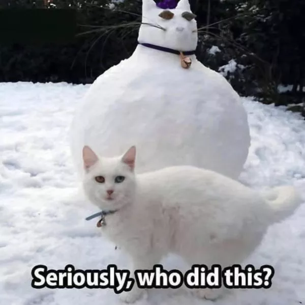 Dont start saturday without cats - #27 Dont start saturday without cats - #27