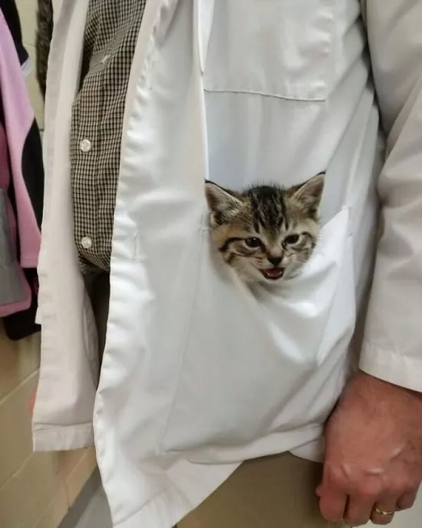 Dont start saturday without cats - #9 