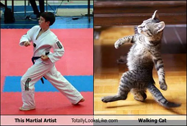 Top 40 photos les plus wtf - #24 