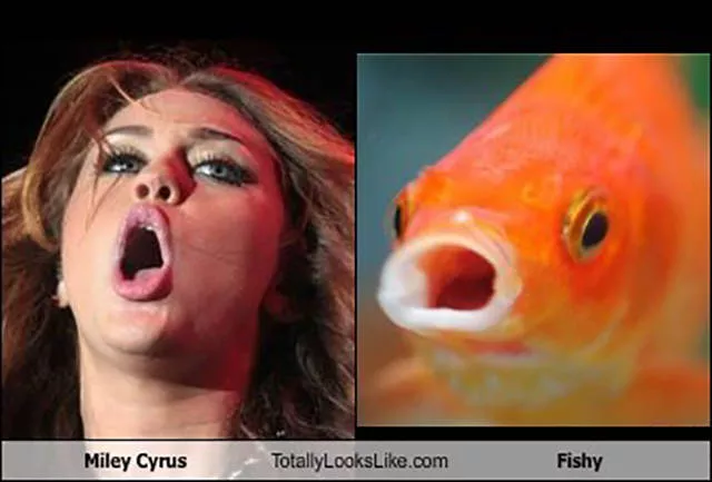 Top 40 photos les plus wtf - #35 