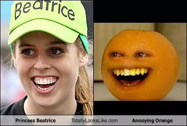 Top 40 photos les plus wtf - #4 