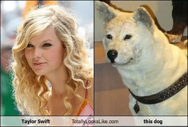 Top 40 photos les plus wtf