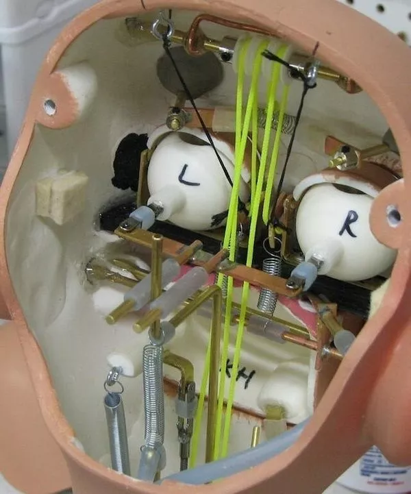 The awesome beauty of cross section pics - #7 Inside the head of a ventriloquist's dummy