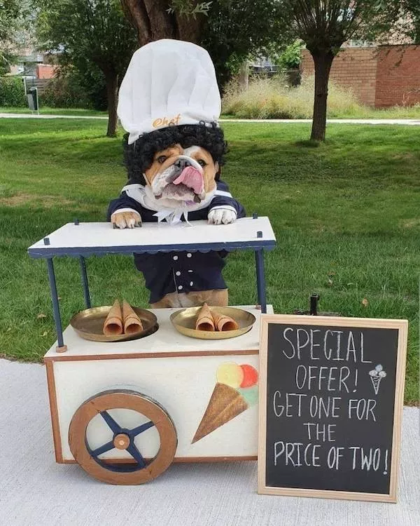 Cleverness in the cleverest of acts - #10 