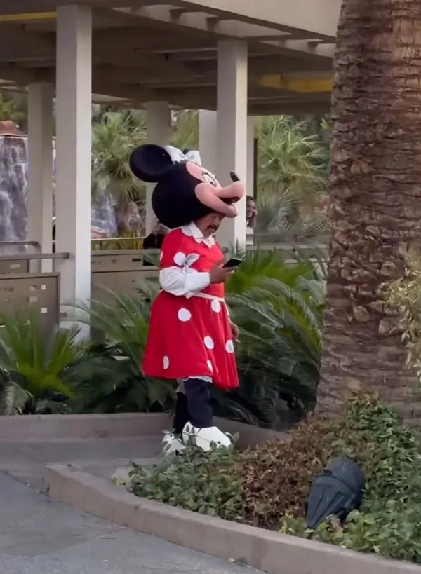 The best amusement park humor - #1 