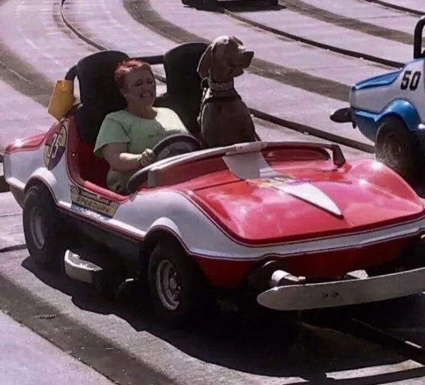 The best amusement park humor - #13 
