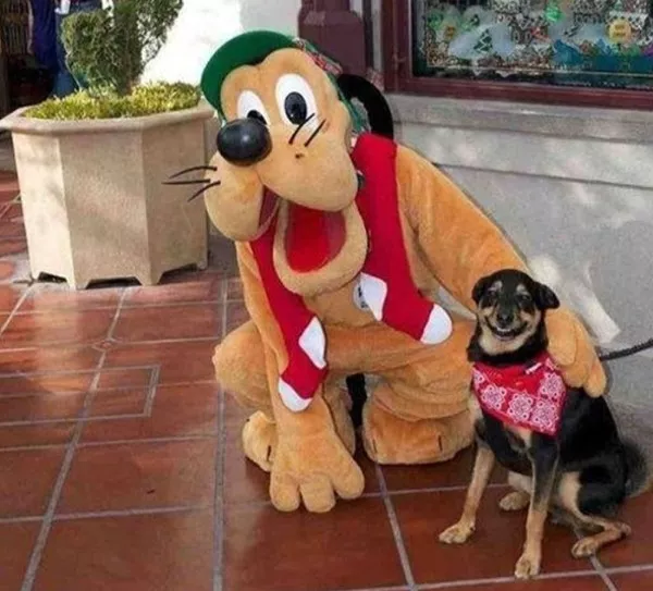 The best amusement park humor - #18 