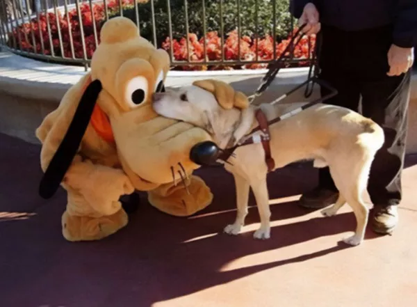 The best amusement park humor - #24 The best amusement park humor - #24