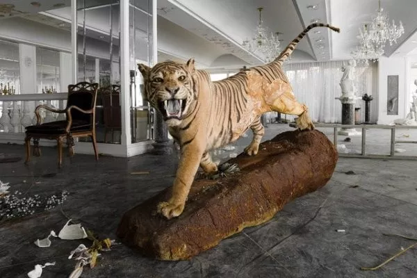 Ces lieux abandonnes qui valent le detour - #14 Un tigre vit dans un domaine abandonné au Japon