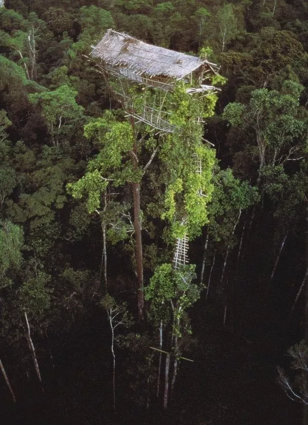 Ces lieux abandonnes qui valent le detour - #3 Ruines d'une habitation indigène en Papouasie