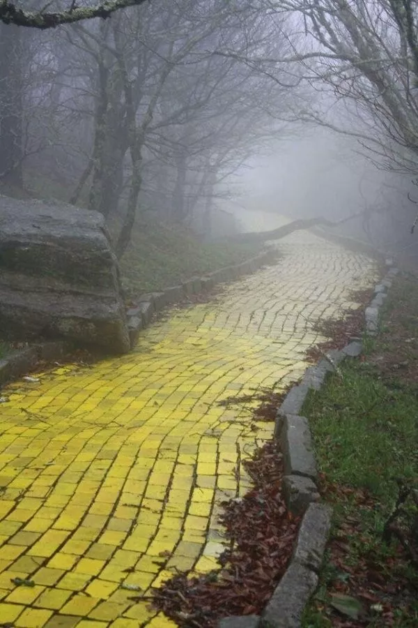 Ces lieux abandonnes qui valent le detour - #8 La route de briques jaunes de la Caroline du Nord
