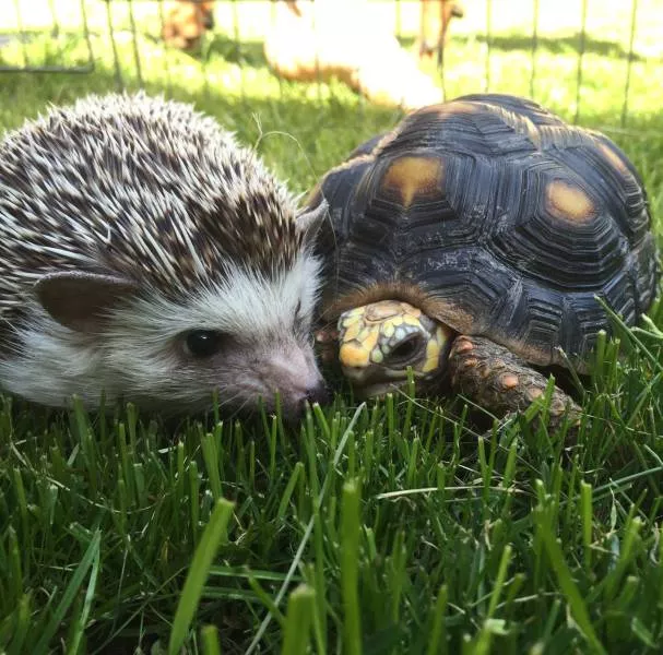 Picdump 150 - #28 