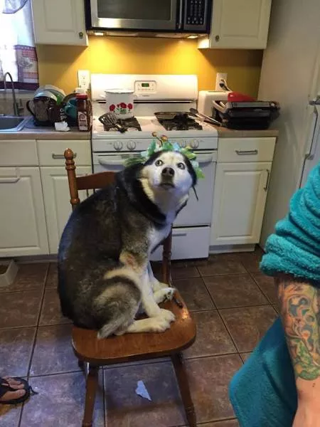 Picdump 150 - #41 