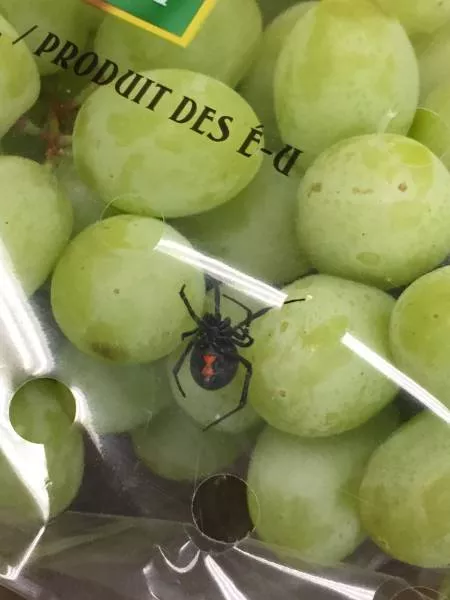 Picdump 150 - #49 