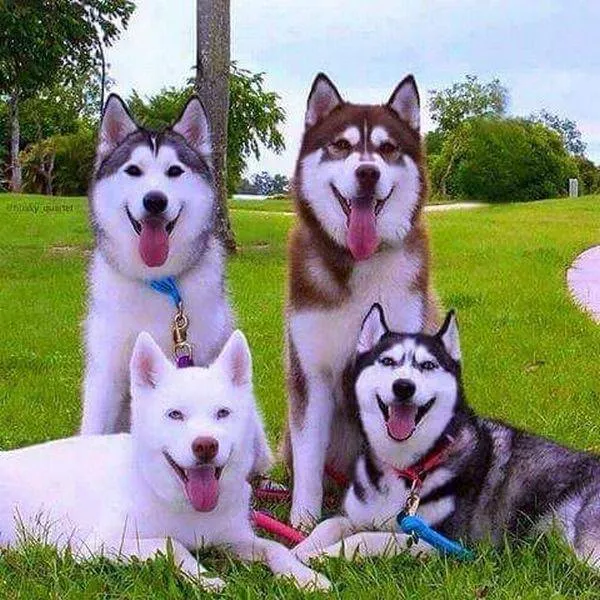 Picdump 150 - #57 