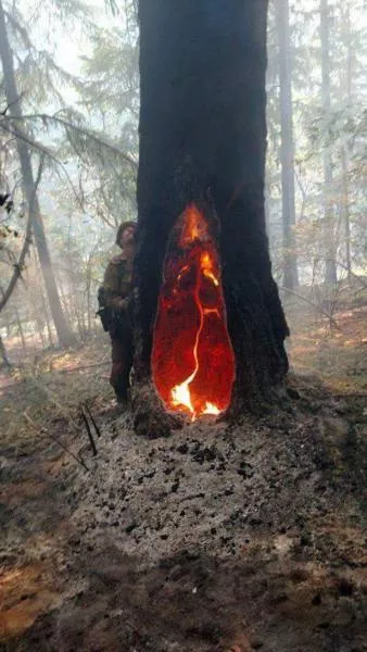 Picdump 150 - #60 