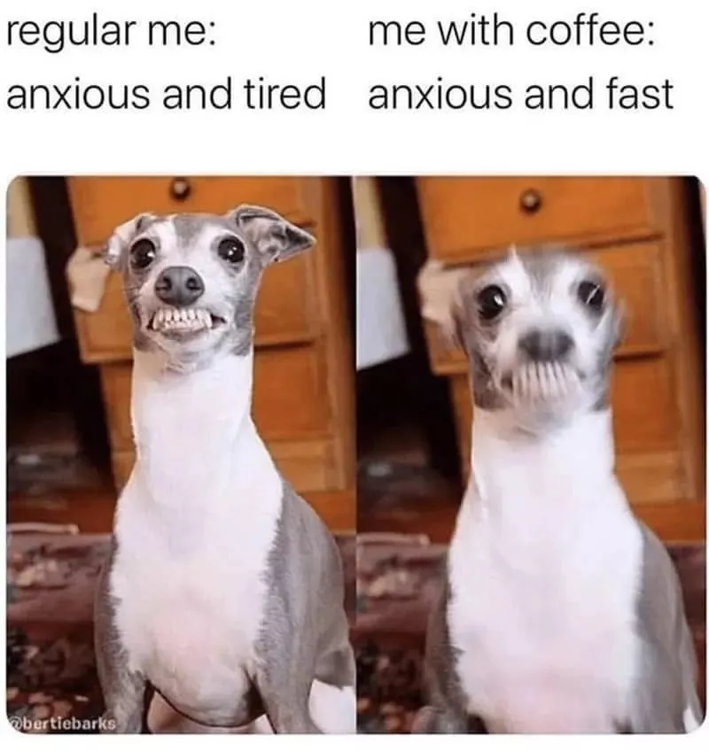 Ces memes sur la procrastination tellement vrais - #20 