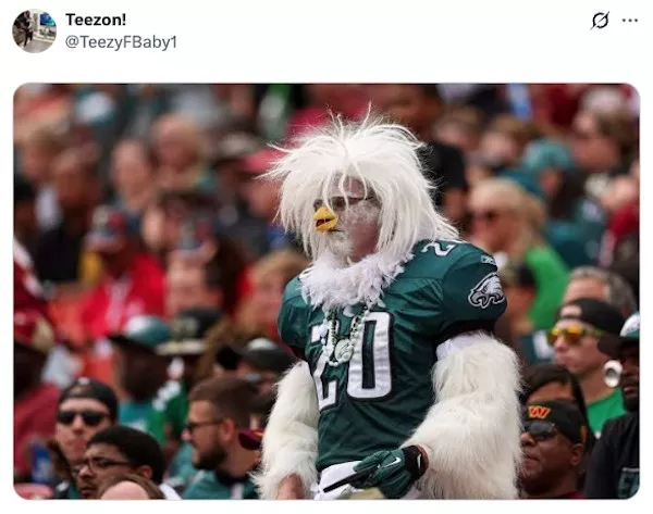 Nfl fans taking things a bit too seriously - #11 